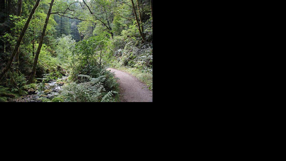  Van Damme State Park in Mendocino County boasts a beautiful and easy trail through Fern Canyon along Little River.
