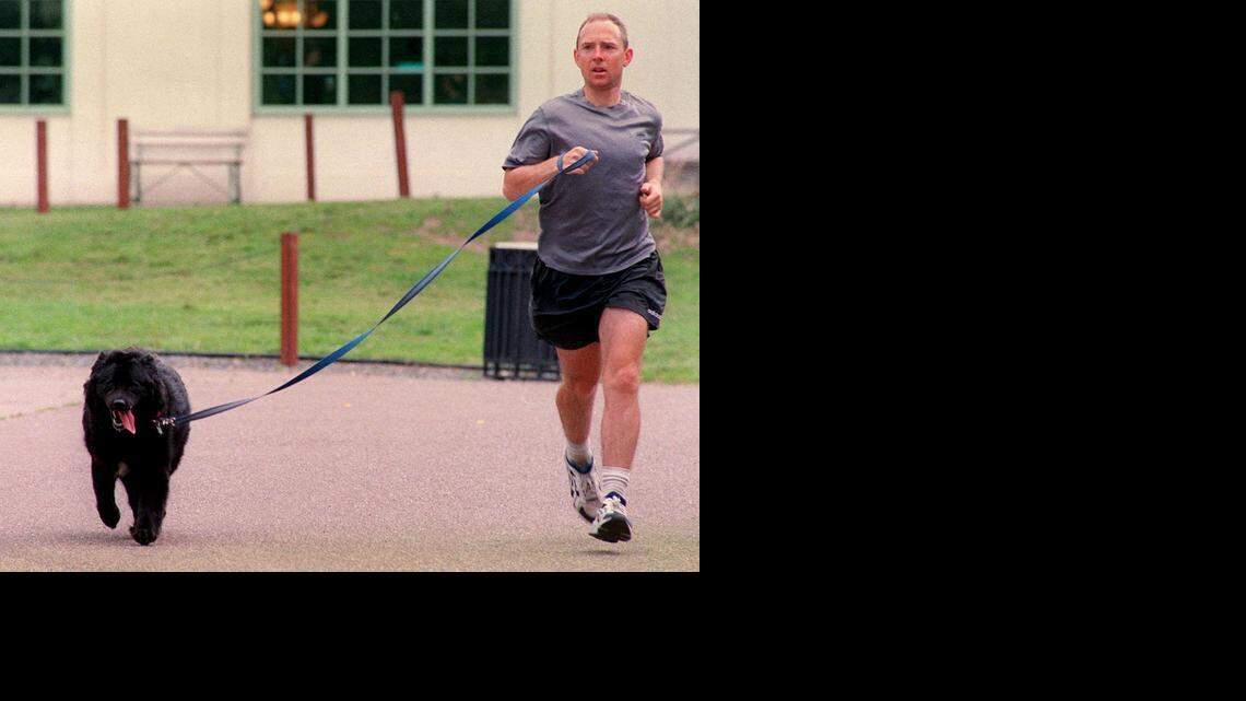 The Old Trainer: Dogs often play tricks on their owners to get some treats