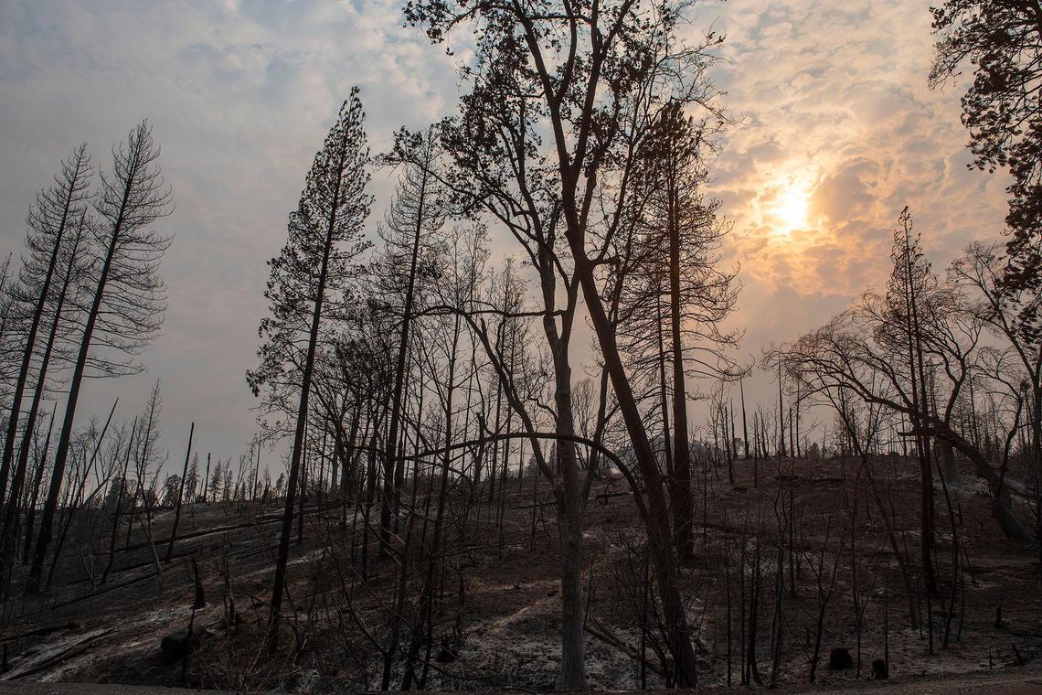 The charred vegetation and hillside along Jerseydale Road as firefighters continue to battle the Oak Fire in Mariposa County, Calif., on Tuesday, July 26, 2022.