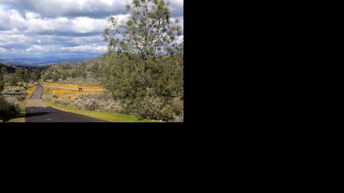 Although the landscape appears dry and scrubby much of the year at Red Hills, spring brings reliable wildflowers and views can also be striking on cool days with clear skies.
