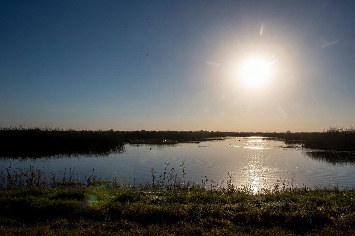The sun rises over wetlands at the San Luis National Wildlife Refuge in Los Banos, Calif., on Sunday, Oct. 20, 2024.