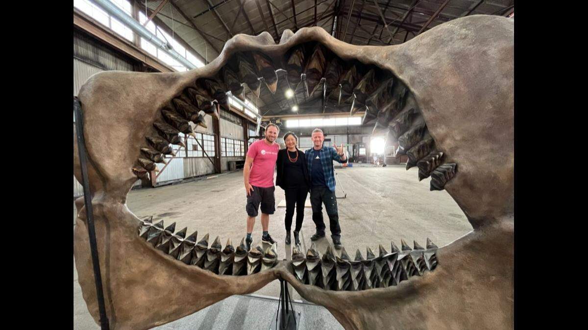 UC Merced professor Sora Kim is pictured with Dr. Tristan Guttridge, left, and cinematographer Andy Casagrande. The trio teamed up for the Discovery Channel show “Jaws vs. The Meg,” which will be shown Sunday, July 23, 2023, during Shark Week.