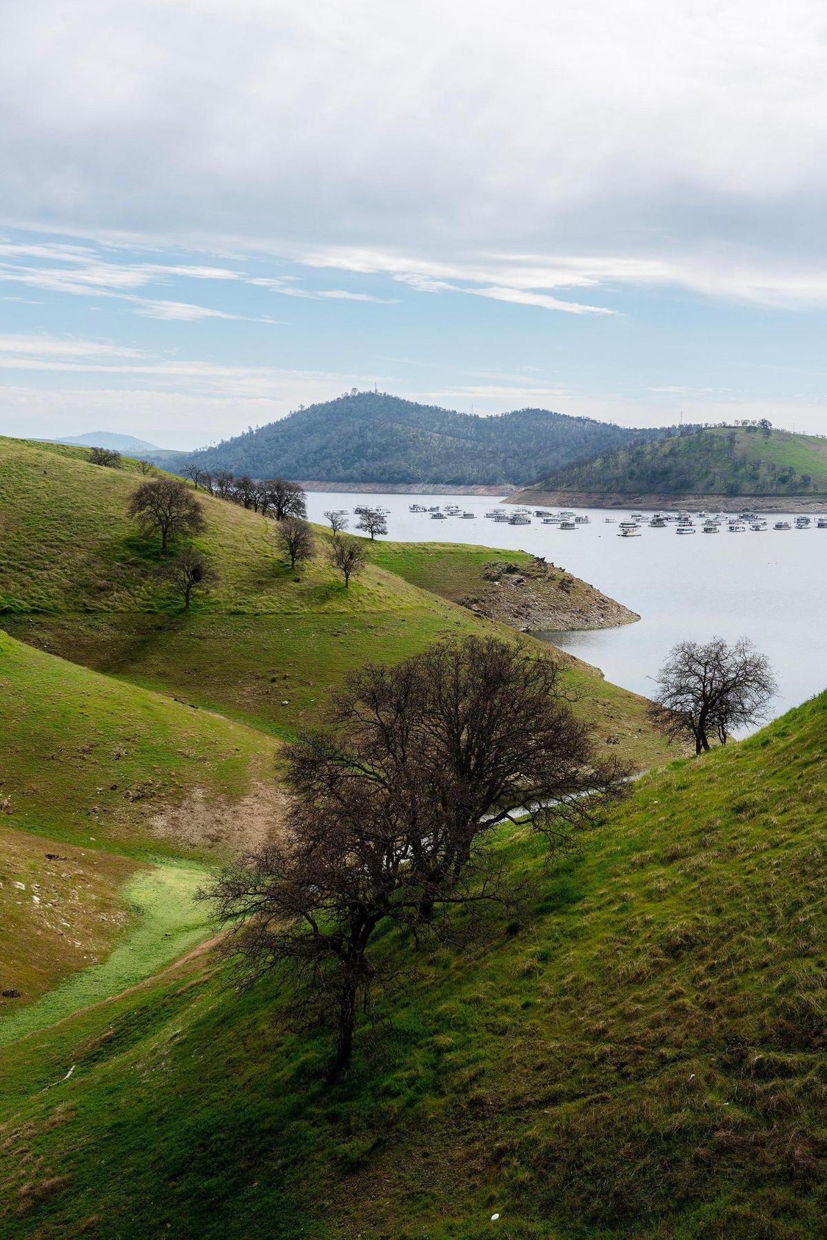 Lake McClure located in Mariposa County, Calif., on Monday, Feb. 24, 2025.