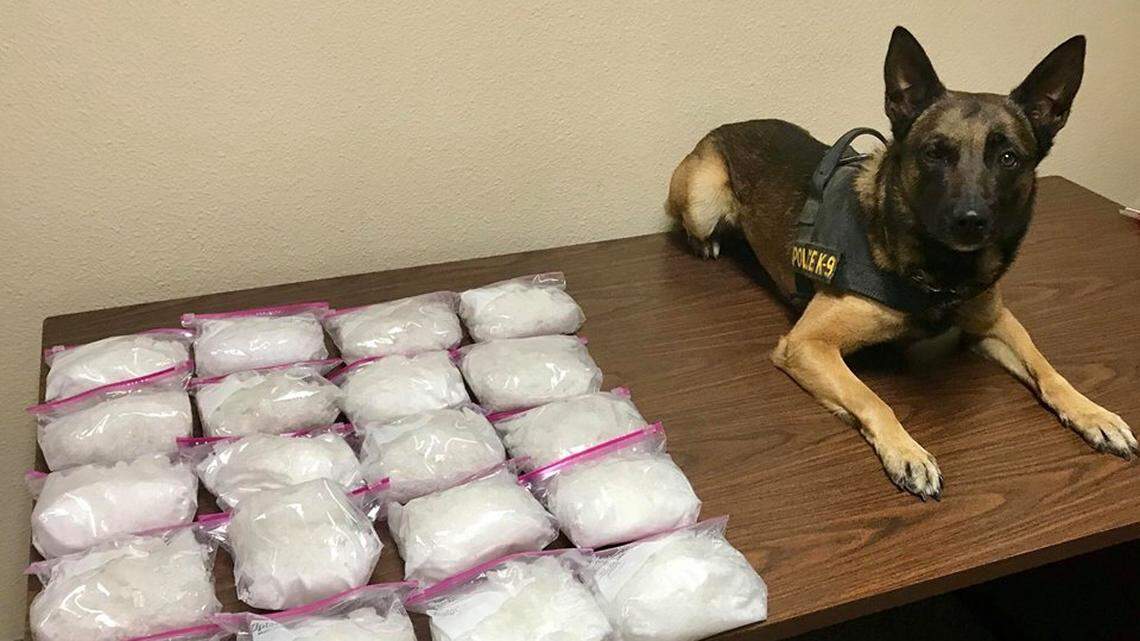 Here’s how much meth K-9 Officer Bruce found in Los Banos-area stop, CHP says