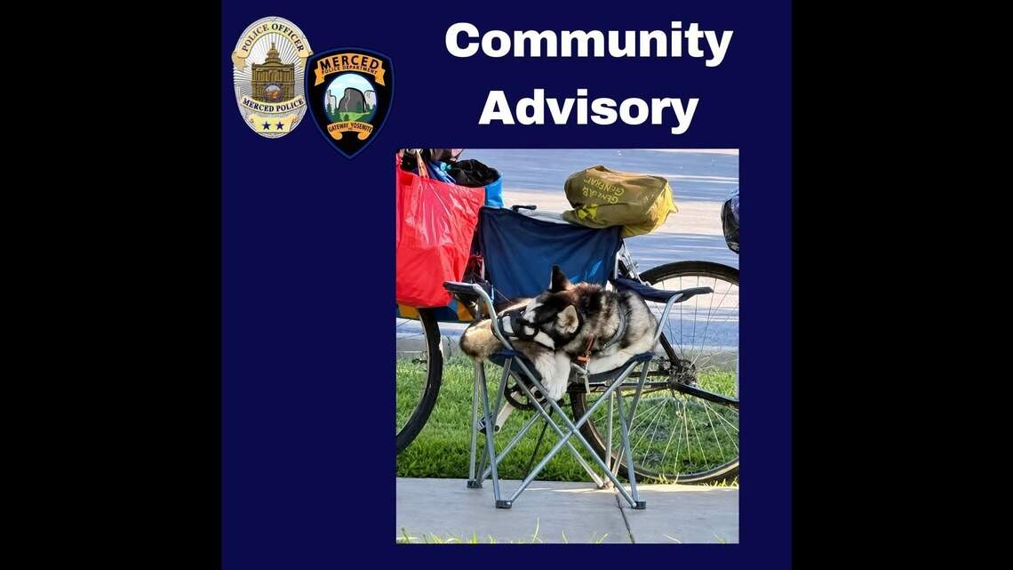 Merced’s top stories: Dog saga, teen’s shooting death, date-night poll and more