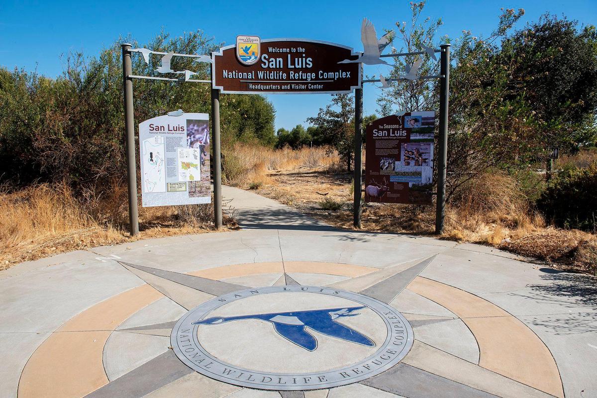 The San Luis National Wildlife Refuge Complex in Los Banos, Calif., on Sunday, Oct. 20, 2024.