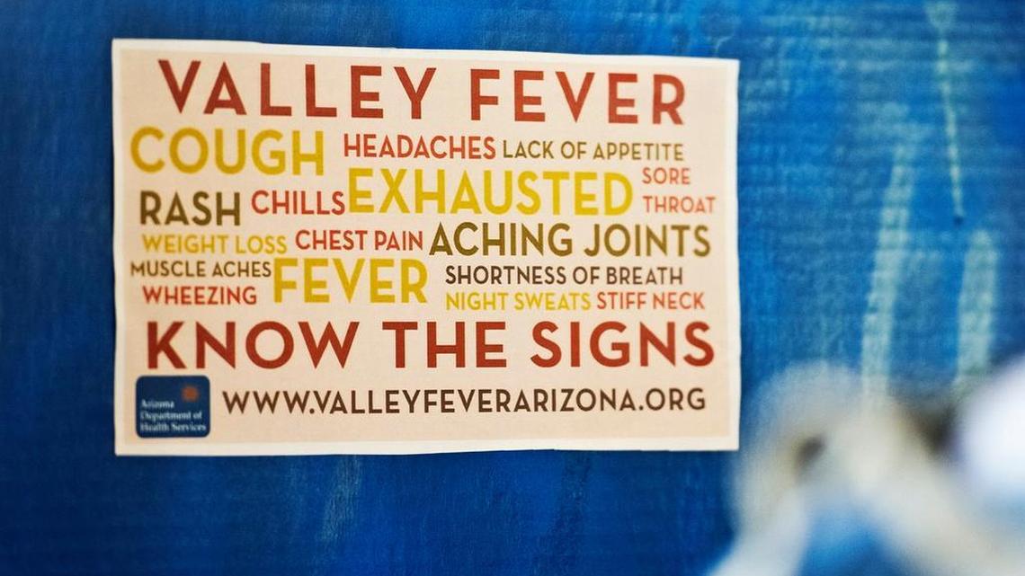 August is Valley Fever Awareness Month