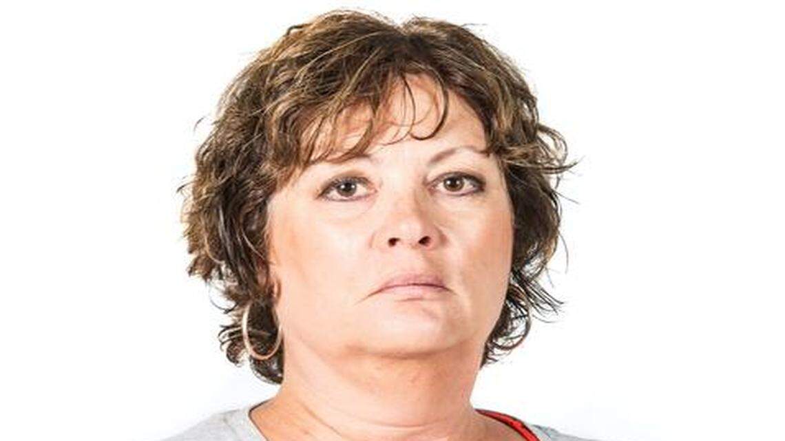 Brigitte Bowers: A suburban lion in winter?