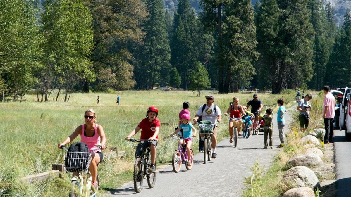 Bike riding is among the popular activities in Yosemite Valley. The National Park Service, which soon turns 100, oversees the park.