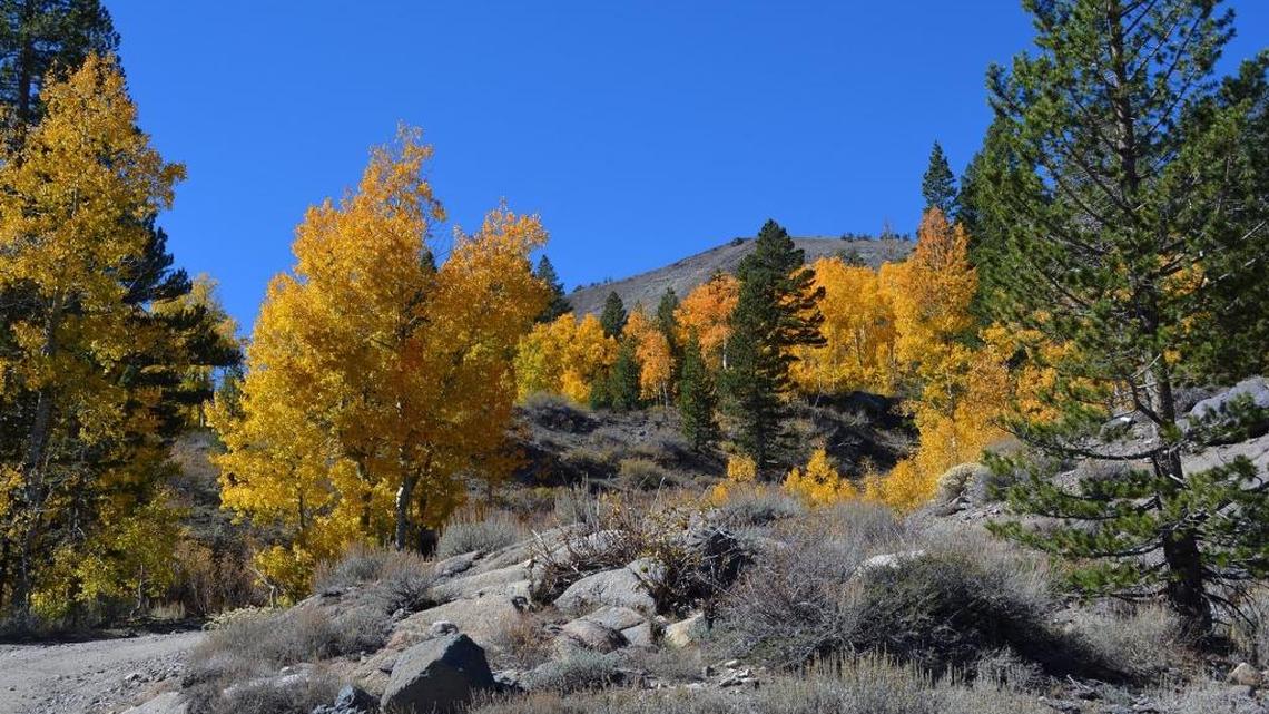 Debbie Croft: What to do as autumn lingers