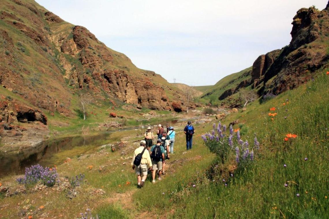 Hikers travel the Path of the Padres at the San Luis Reservoir State Recreation Area. Weekend guided hikes are available now through April 13.