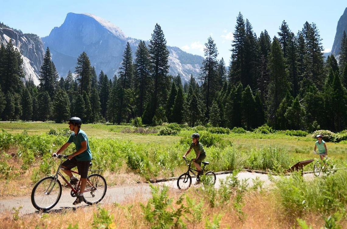 Bicyclists ride along on the Yosemite Valley floor with Half Dome in the distance in 2014. Make sure you wear a helmet when you ride and remember bicycle safety tips.