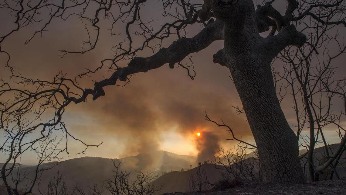 The rebuilding is only just getting started in Mariposa