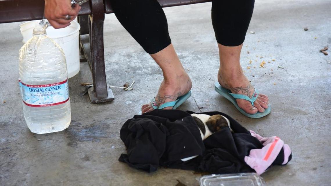 A week of triple-digit heat in Merced sparks health and safety dangers