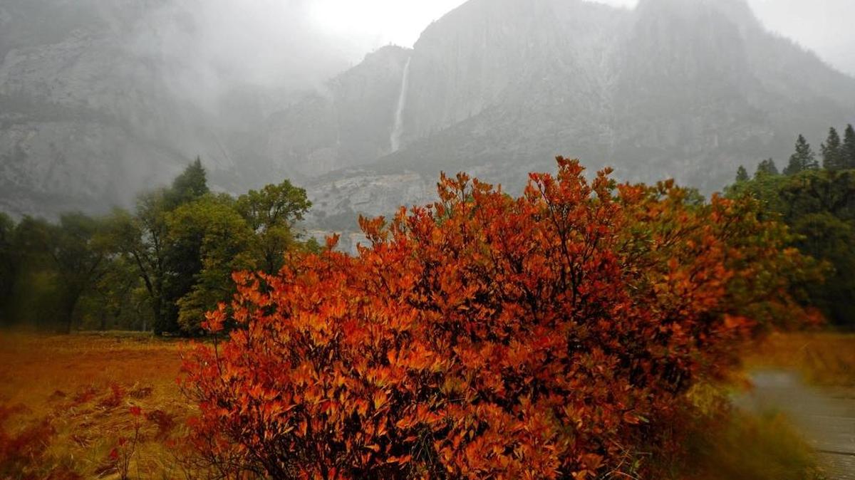 Precipitation over the weekend brought Upper Yosemite Fall back to life.
