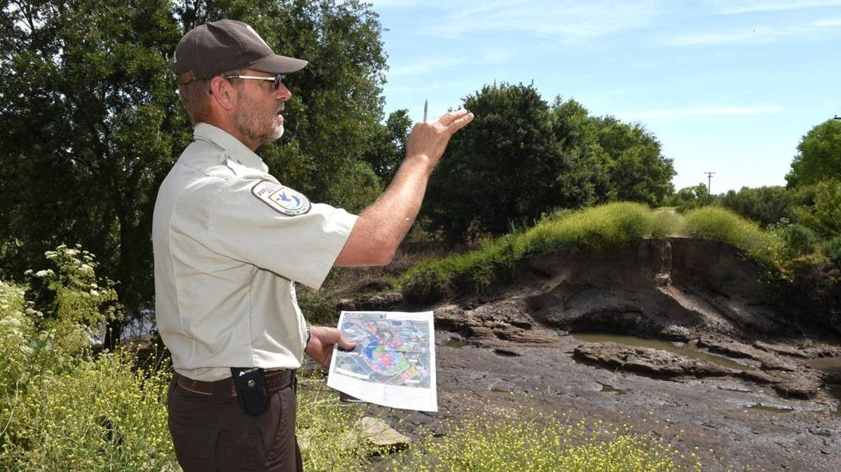 Eric Hopson, assistant refuge manager with the U.S. Fish and Wildlife Service is pictured near a berm Wednesday afternoon (06-07-17) at the San Joaquin River National Wildlife Refuge west of Modesto, Calif. This year's high water flows have affected wildlife habitat on local rivers in our area.