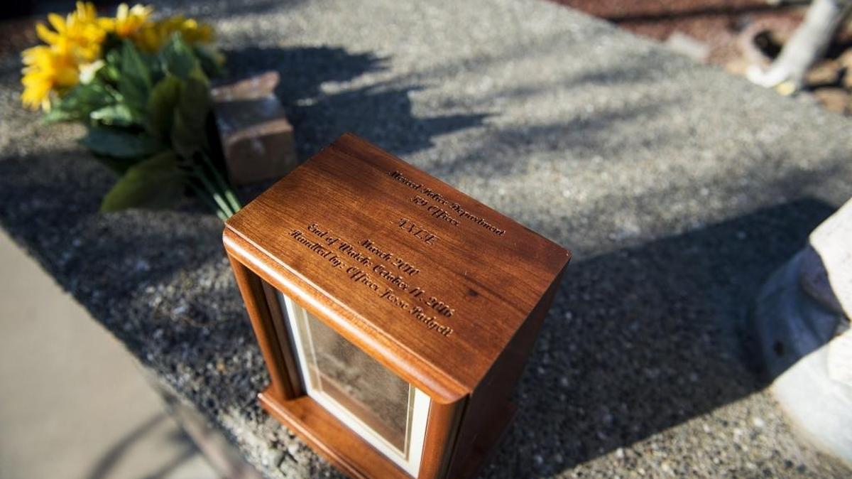 An urn containing the ashes of Merced Police K-9 Axle, a german shepherd, sits next to flowers during a funeral service held by the Merced Police Department at the Franklin Pet Cemetery on Ashby Road in Merced, Calif., Wednesday, Oct. 26, 2016. Axle died Oct. 11, 2016 of a condition that causes the stomach to bloat and twist.