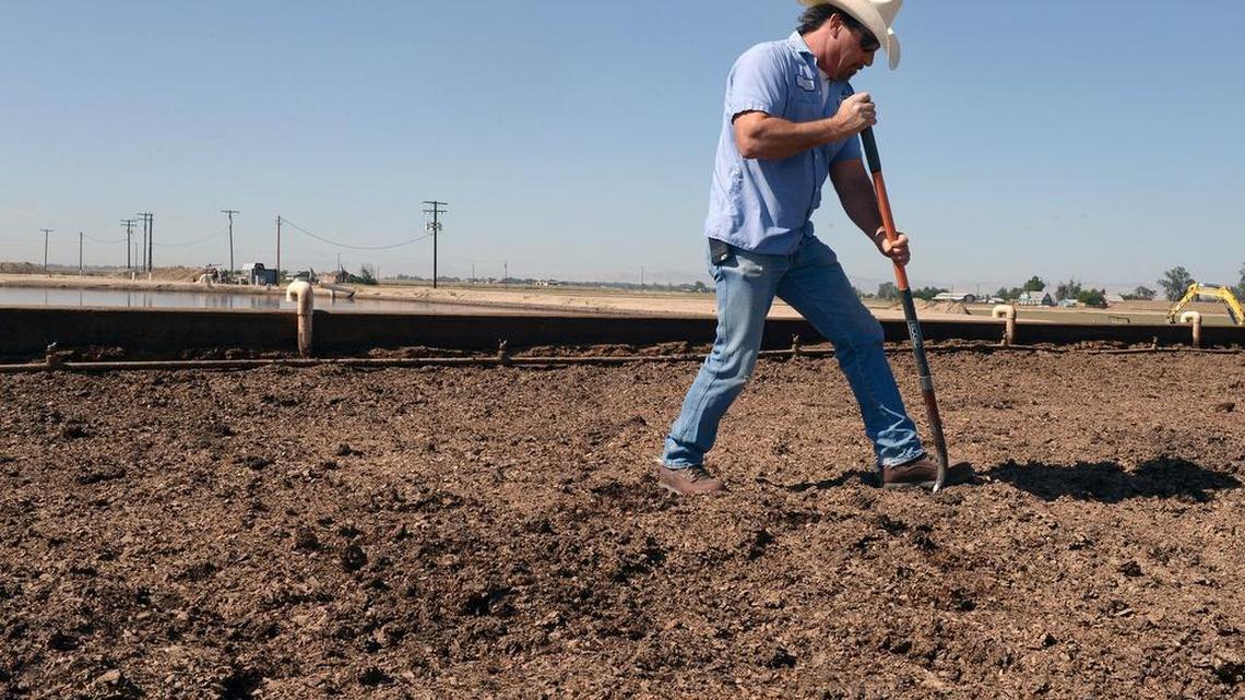 Worms help with waste at dairy farm near Hilmar