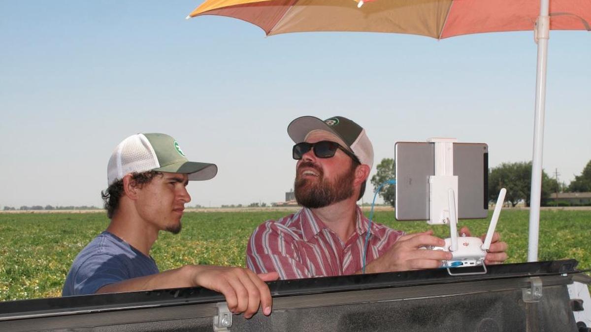 Danny Royer, right, vice president of technology at Bowles Farming Co., pilots a drone over a tomato field near Los Banos. With him is college intern Christian Cambrelen. The farm hired Royer this year to oversee drones equipped with a state-of-the-art thermal camera that scan from a bird’s-eye view for cool, soggy patches where a gopher may have chewed through the buried drip irrigation line and caused a leak.