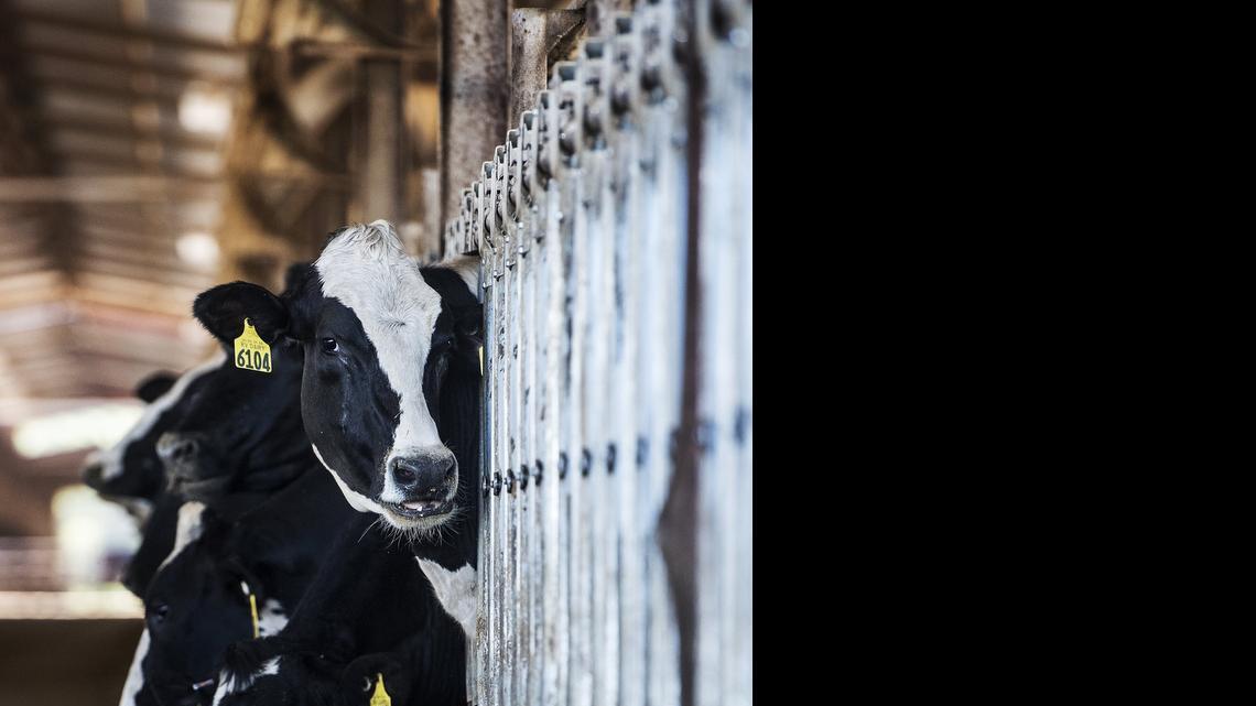 Merced’s manufacturing sector named fastest growing in nation