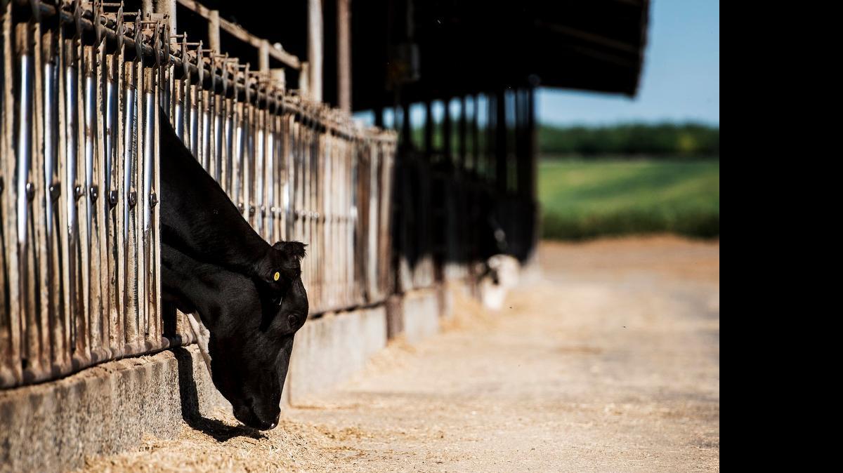 
A tour of Merced County farms will stop at four farms and will focus on conservation practices. Those interested should reserve a spot by Monday.
