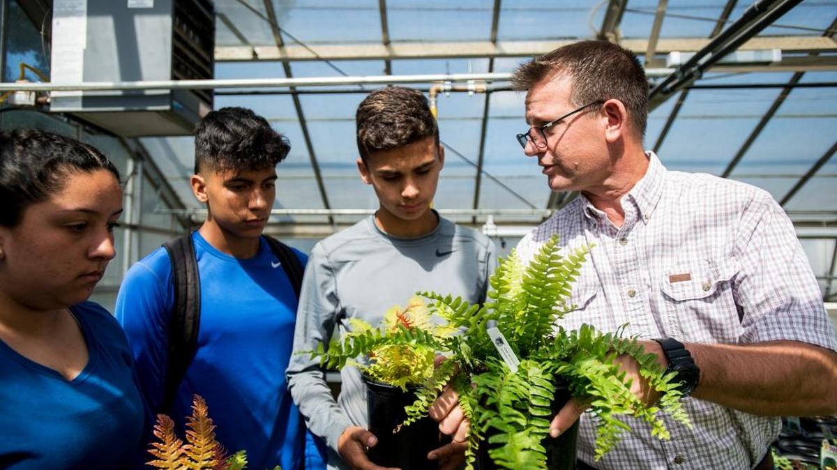 Atwater High School Future Farmers of America Department Chair, Dave Gossman, right, works with students to arrange and water plants inside a greenhouse at Atwater High School in Atwater, Calif., on Wednesday, May 17, 2017.