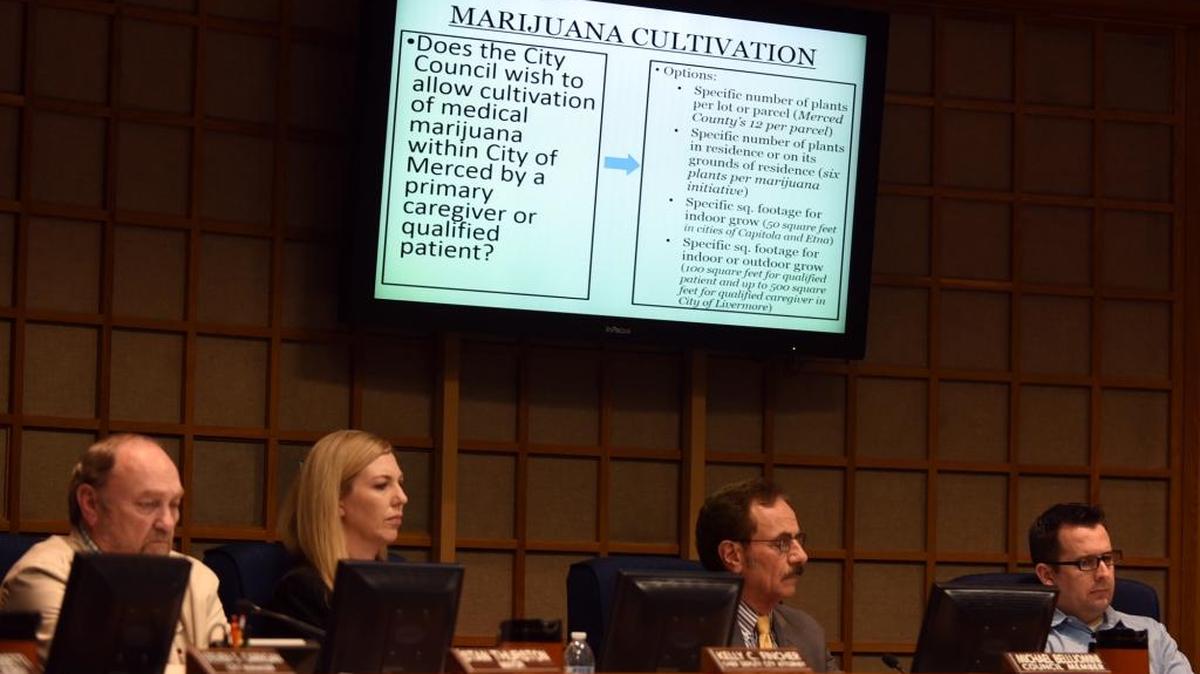 The Merced City Council listens to a presentation from city staffers on Tuesday during a study session on medical marijuana. The council members agreed they want the city to have dispensaries, but haven’t decided how many or where they should be zoned.