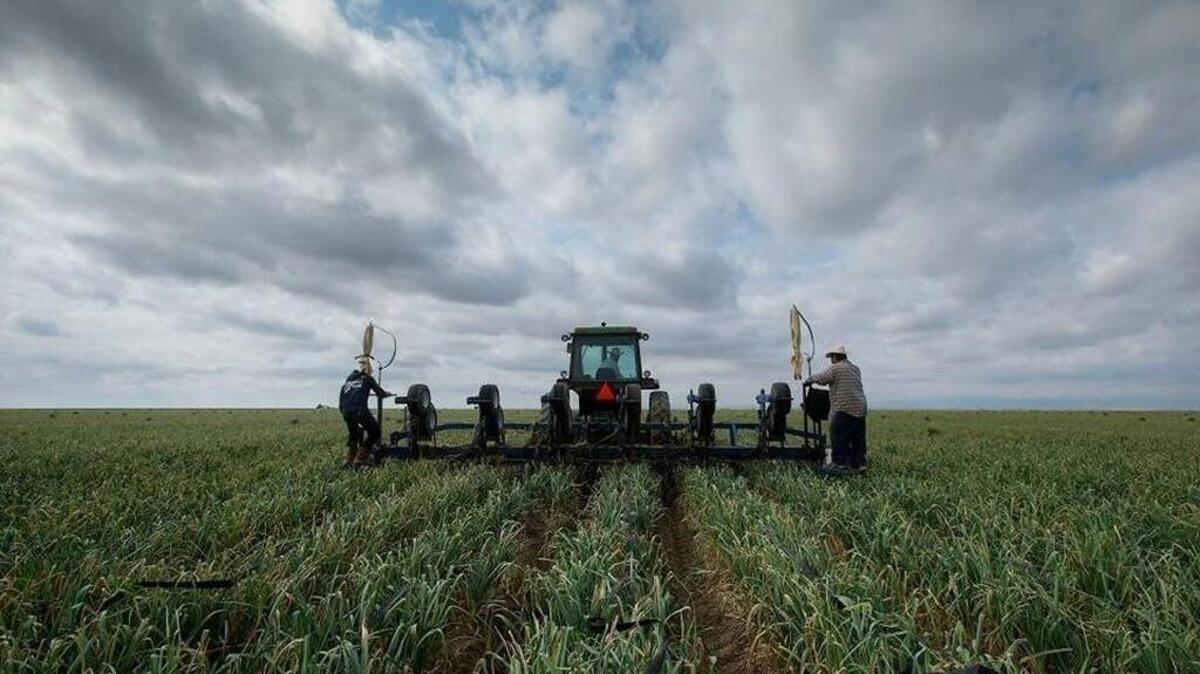 Merced County lost 3,300 seasonal farm jobs from October to November, but the unemployment rate of 9.5 percent is still better than the 11.2 percent at the same time last year, according to the Employment Development Department.