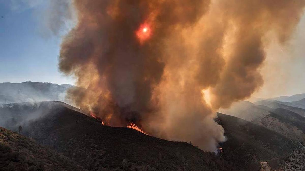 Photos of the Detwiler Fire in Mariposa County, which began on July 16, 2017.