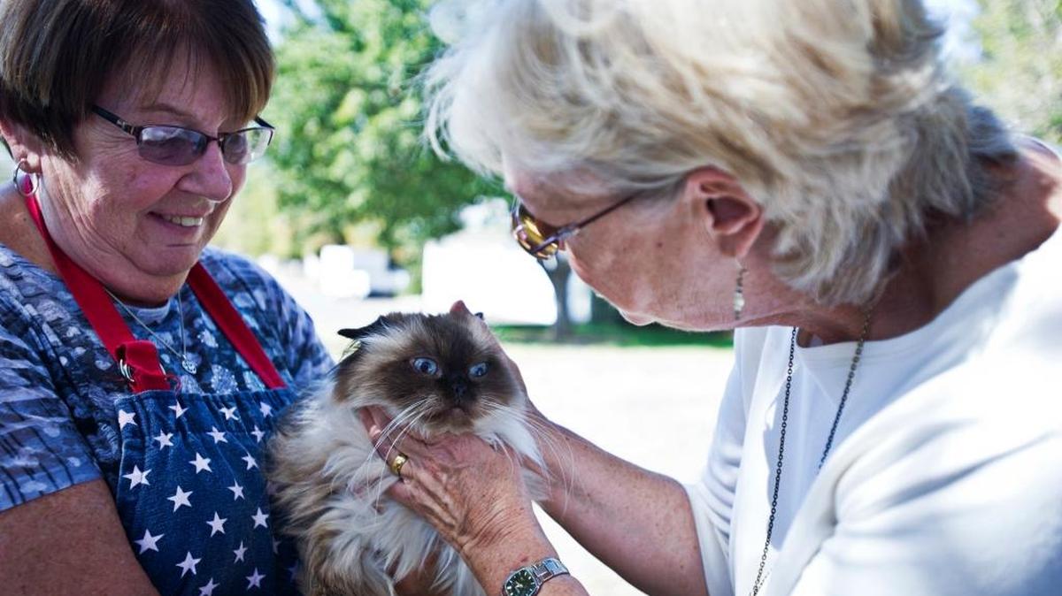 
Linda Hand of Merced, left, has her Himalayan cat Cordie blessed by the Rev. Dorothy Lindstrom at Shepherd of the Valley Lutheran Church in Merced during a Blessing of the Animals on Oct. 4, 2014. 
