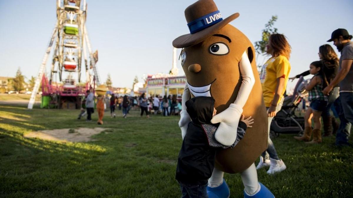 A child hugs Moe the sweet potato during the annual Livingston Sweet Potato Festival at the Max Foster Sports Complex in Livingston, Calif., on Saturday, Oct. 1, 2016.