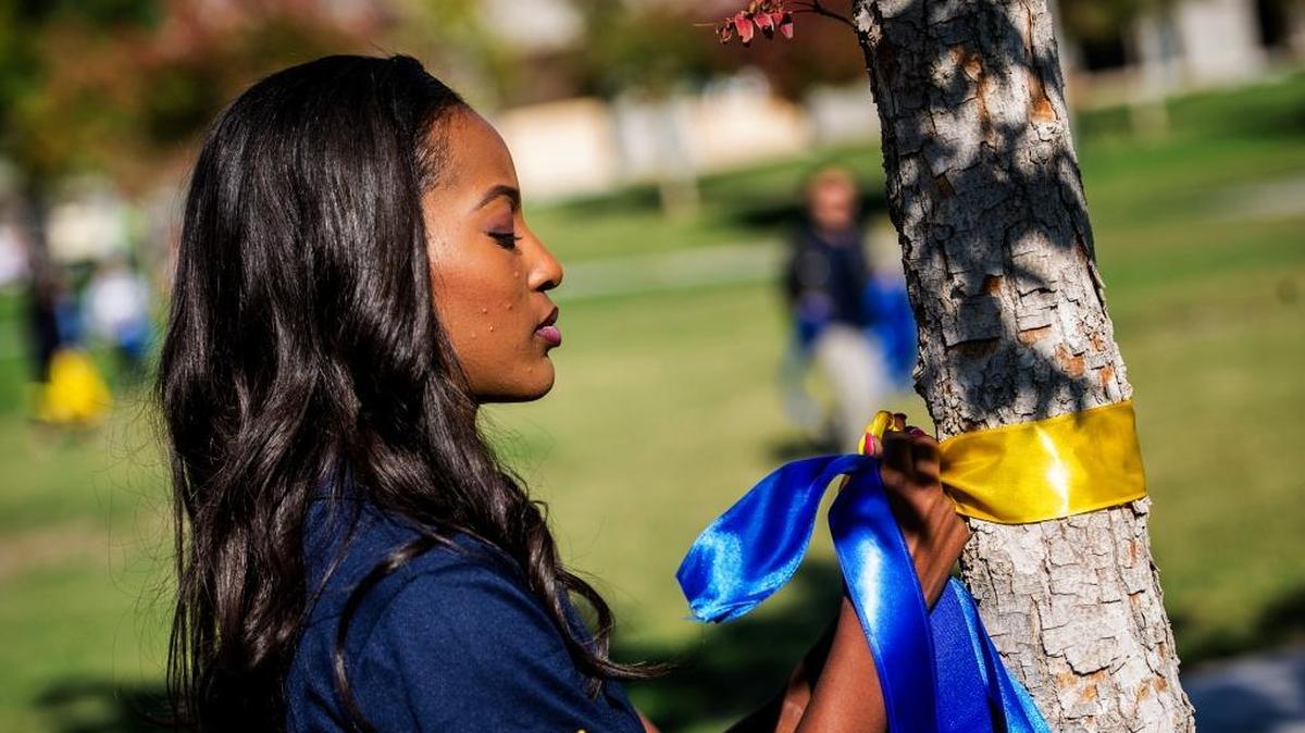 Associated Students of UC Merced President Domonique Jones, 21, of the Bay Area, ties blue and gold ribbons around a tree in the Carol Tomlinson-Keasey Quad on the University of California, Merced campus in Merced, Calif., Friday, Nov. 6, 2015. Classes resumed Friday following an on campus stabbing which left four people wounded before campus police shot and killed the suspect, 18-year-old Faisal Mohammad, of Santa Clara, on the UC Merced campus Wednesday morning.