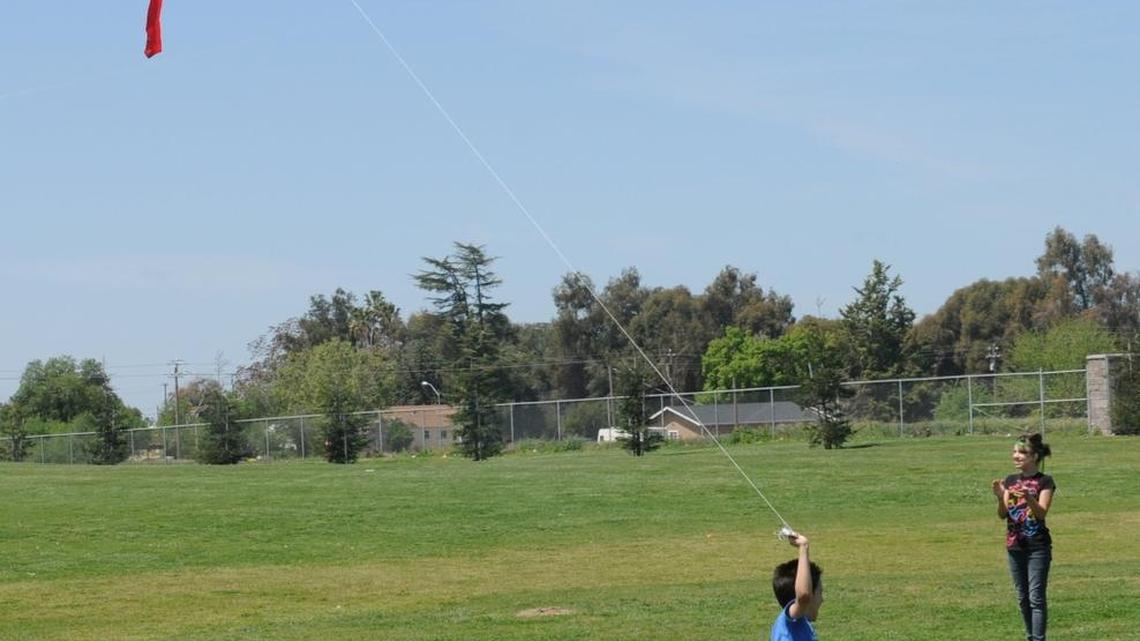 Livingston event will have kites aloft and health screenings down below