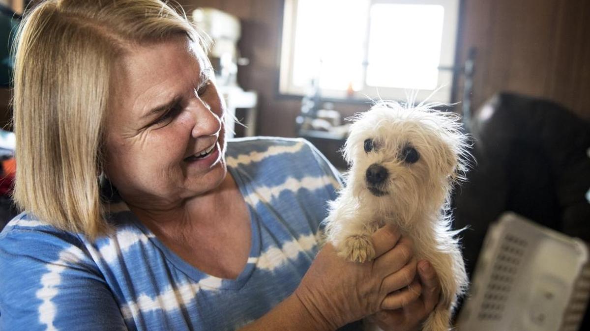 Sharon Lohman, founder and president of New Beginnings for Merced County Animals, holds a terrier named Rhoda at her home in Winton, Calif., on Thursday, Aug. 18, 2016. Rhoda underwent an emergency cesarean section to remove her puppies last week. The nonprofit organization works to provide foster families for animals in the county.