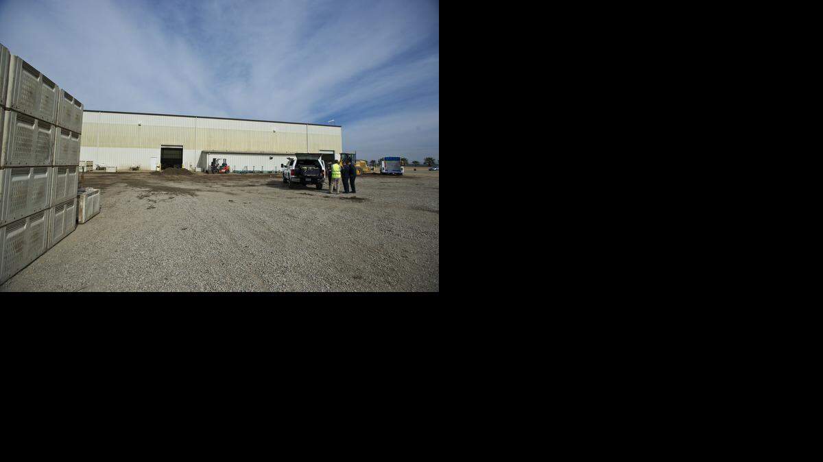 <137>Cal Fire Merced County and other emergency crews respond to the scene of an ammonia spill at Driscoll Strawberry Associates Inc. located at 10230 Santa Fe Drive in Ballico, Calif., Thursday, Feb. 5, 2015. According to Cal Fire Merced battalion chief Jeremy Rahn, 24 workers were transported to regional hospitals <137>Workers at Sierra Cascade Nursery, above, complained of minor chest pain and difficulty breathing, and were taken to area hospitals after the ammonia spill but “none of them had any direct exposure,” according to Battalion Chief Jeremy Rahn of Cal Fire Merced County. <137>“There were signs and symptoms of possible inhalation or ventilation exposure.”<137>