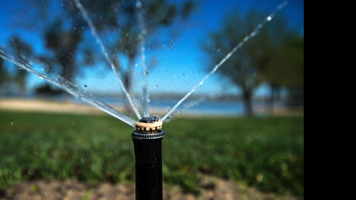 
Water sprays from a sprinkler head at Lake Yosemite near UC Merced in March. 
