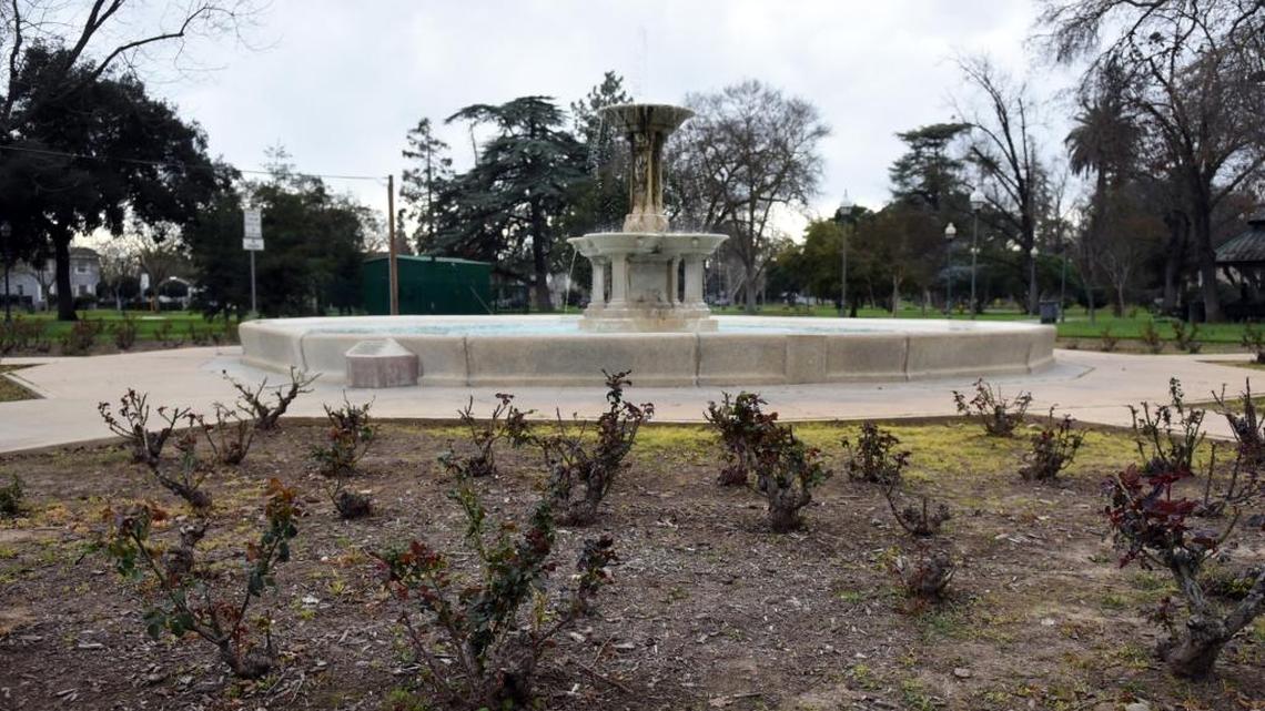 Merced applies to redo community rose garden, save water