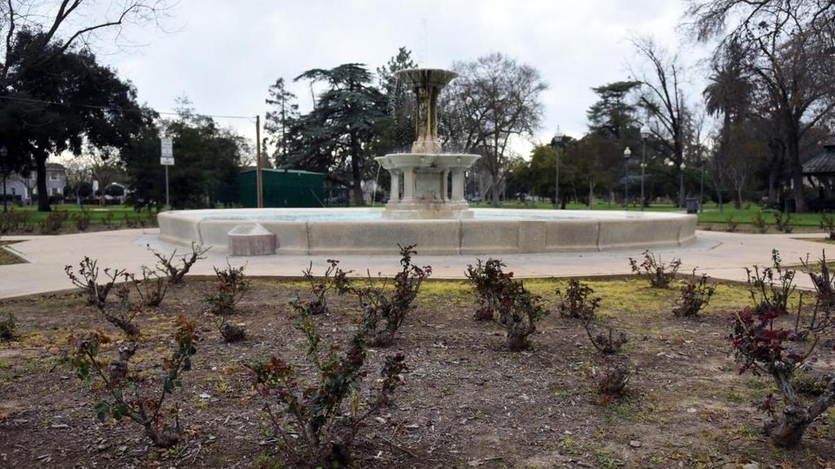 The rosebushes appear bare in the Merced community rose garden in Applegate Park on Wednesday. The city will look to replace turf in the area to make the garden more water efficient.