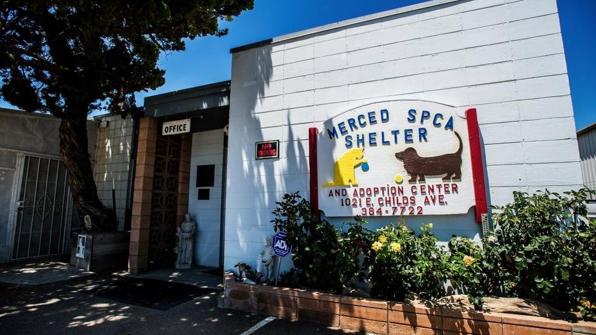 The Merced Society for the Prevention of Cruelty to Animals shelter is at 1021 E. Childs Ave.