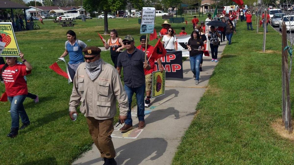 Marchers enter McNamara Park during the Cesar Chavez March in Merced on Sunday, March 3, 2016. Scores of people marched and chanted as drums played.
