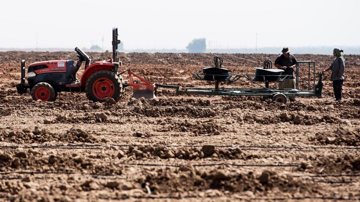 People work in a field off of Lake Road in Merced, Calif., on Tuesday, Aug. 29, 2017.
