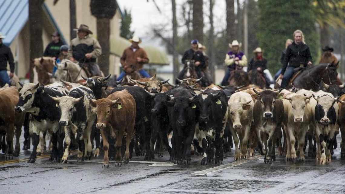 59th annual Western Stampede rides into Chowchilla