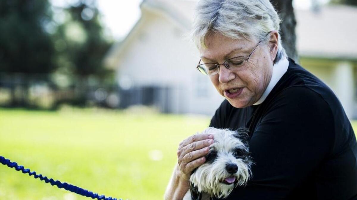 
A dog is blessed by the Rev. Dorothy Lindstrom during a Blessing of the Animals at Shepherd of the Valley Lutheran Church in Merced, Calif., Saturday, Oct. 3, 2015.
