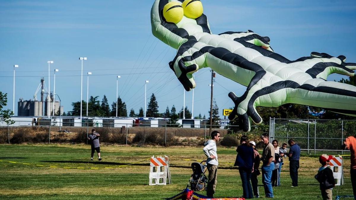 A large lizard kite takes to the sky during the Livingston Kite Festival presented by the Knights of Columbus at Livingston Middle School in Livingston last year. The event draws thousands of people and features large-kite flying, bounce houses, dance performances and a pie-eating contest.