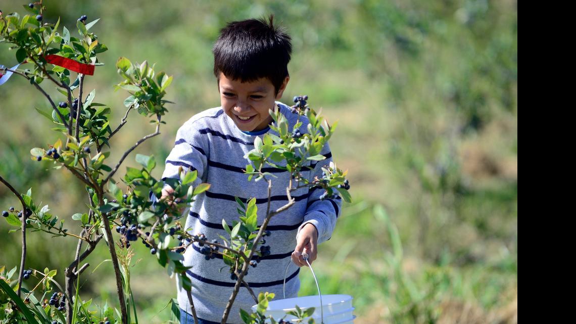 Livingston festival to celebrate farming, nature stewardship