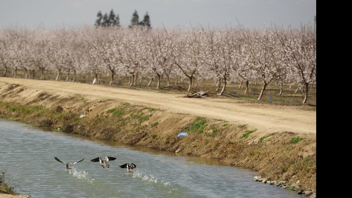 Livingston looks to reduce water use, step up enforcement