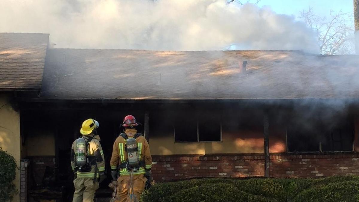 More than two dozen pet dogs were killed Wednesday in a large house fire outside Los Banos, firefighters said.