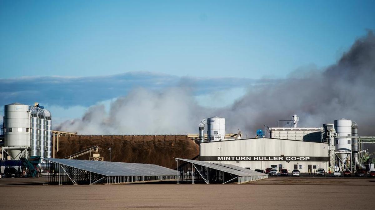 About 5,000 tons of almonds hulls burn at Minturn Huller Cooperative Inc. in Chowchilla on Monday, Nov. 16, 2015.