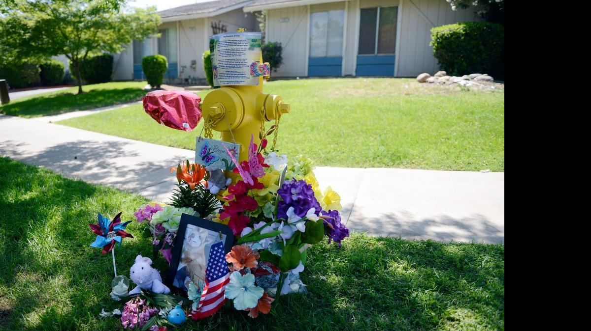 
A heart-shaped balloon tumbles in the wind at a makeshift memorial May 4 around a fire hydrant, where days earlier two men are accused of tying up a year-old Husky and attacking it with a machete, police said.
