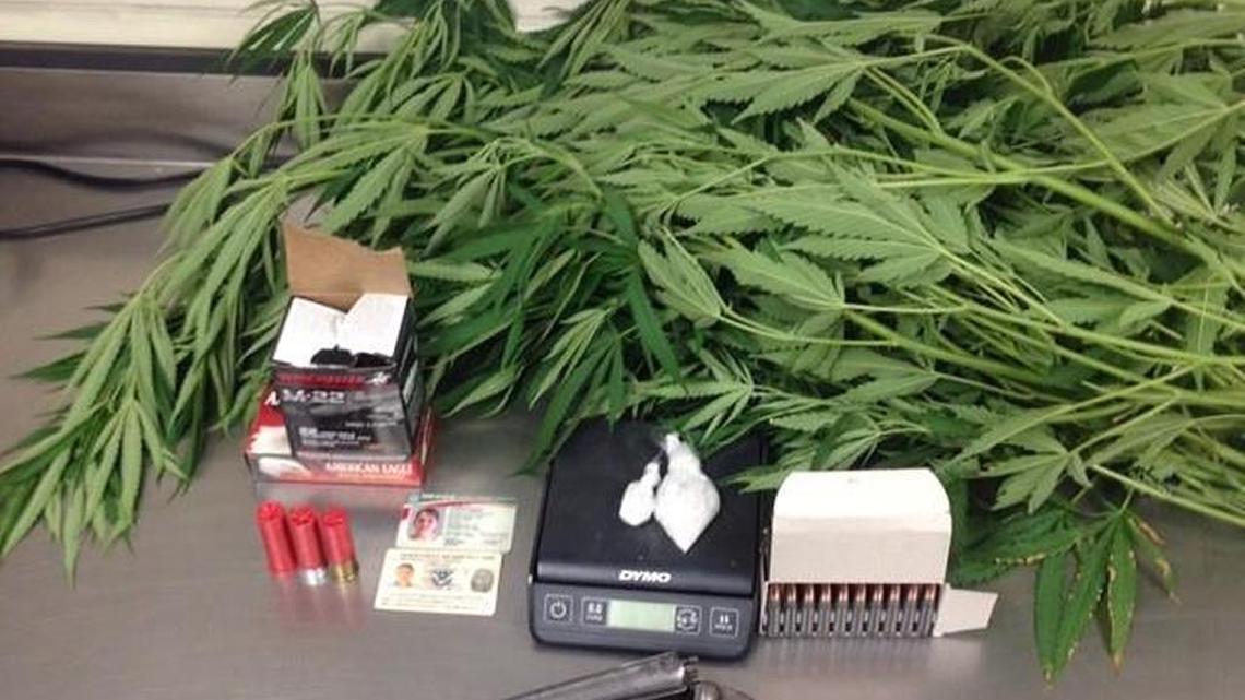 Officers seized nearly 20 grams of methamphetamine from Romelia Garcia-Aviles’ home, as well as a sawed-off shotgun and 10 marijuana plants.